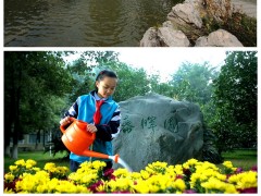 学校风光