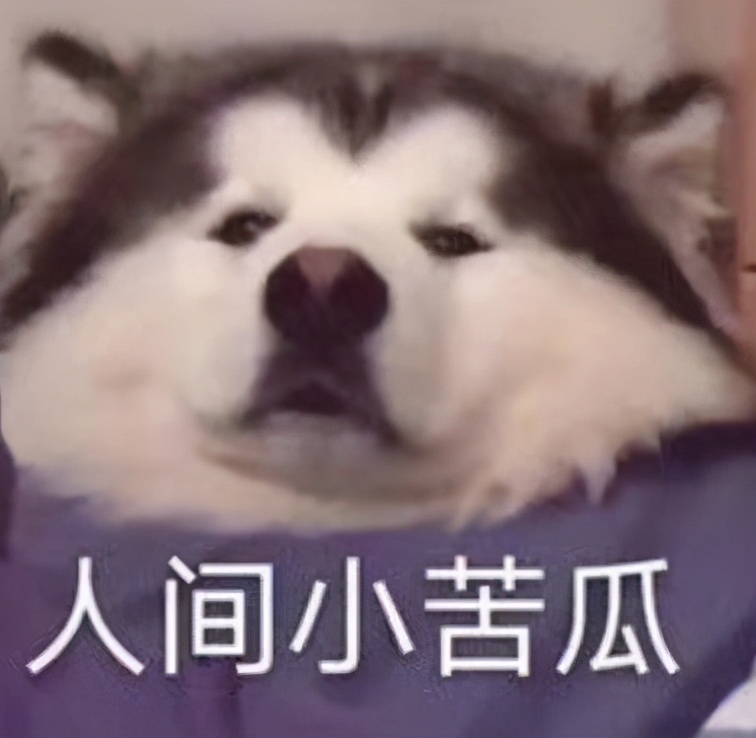 微信图片_20210823153501