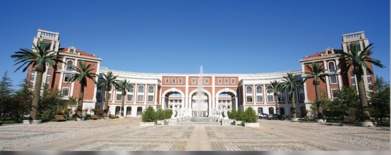 3.青岛11