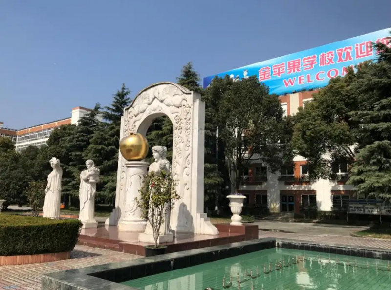 1.金苹果1